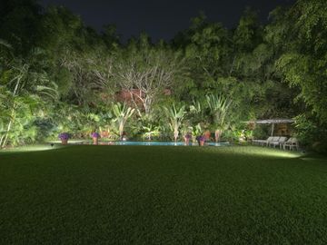 place photo 25