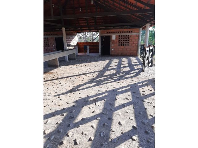 place photo 23