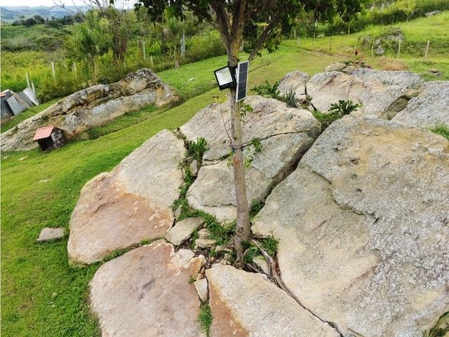 place photo 40