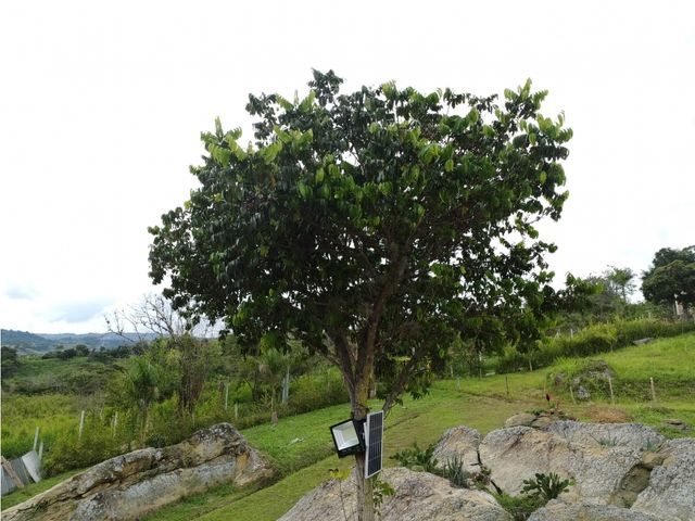 place photo 42