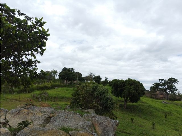 place photo 47