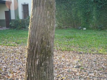place photo 62