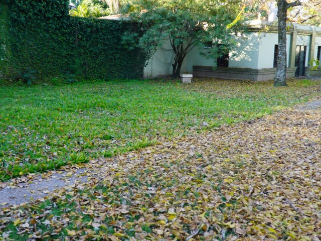 place photo 66