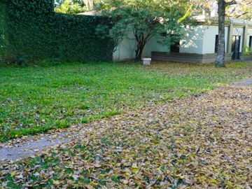 place photo 66