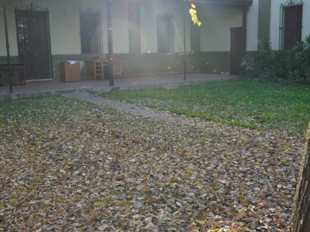 place photo 61