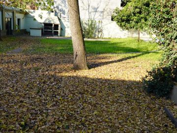 place photo 65