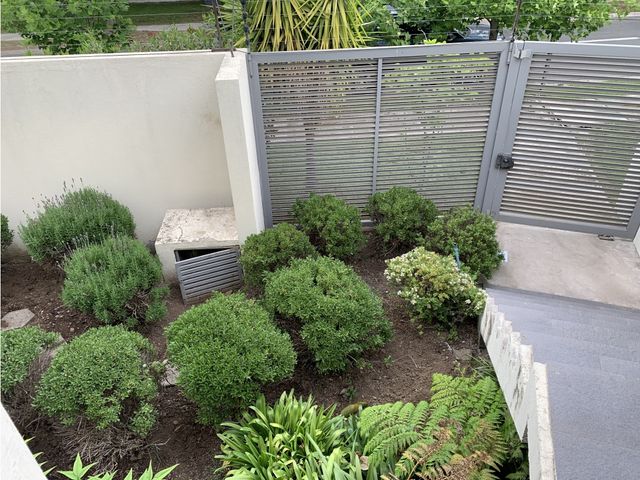 place photo 37
