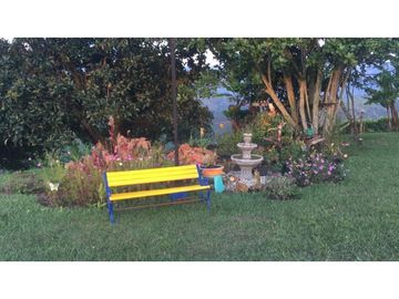 place photo 32