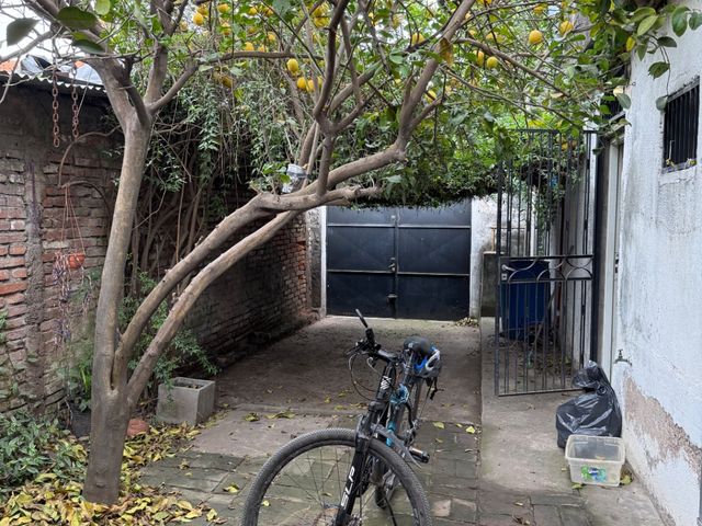 place photo 18