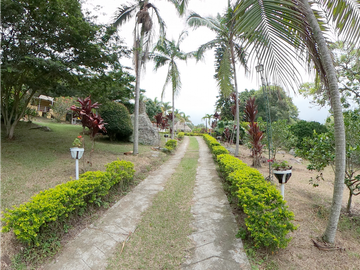place photo 28