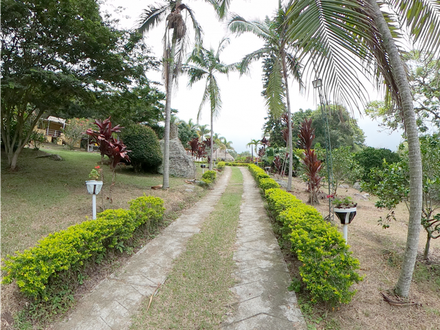 place photo 28
