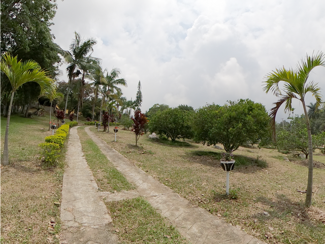 place photo 35