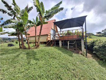 place photo 54