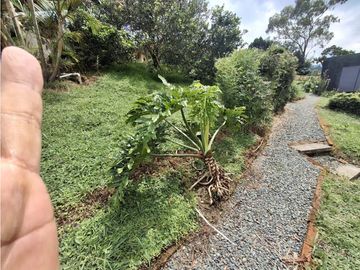 place photo 52