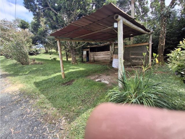 place photo 51