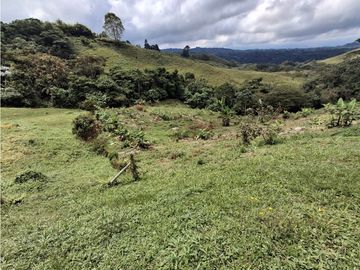 place photo 48