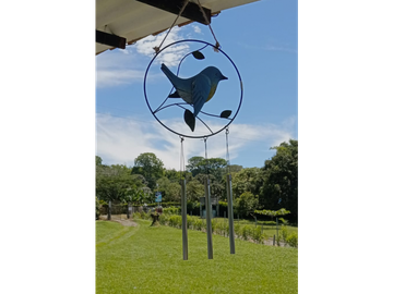 place photo 49