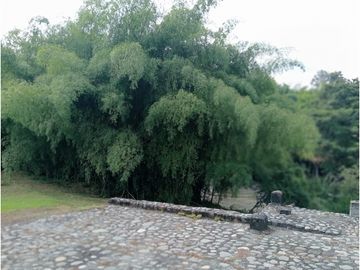 place photo 63