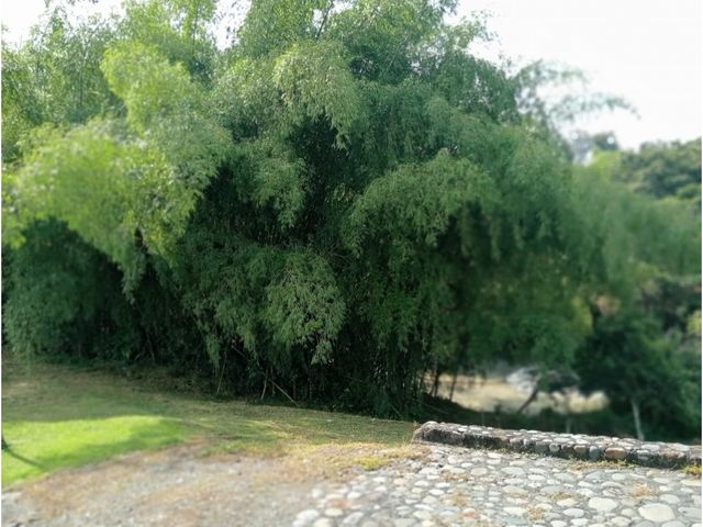 place photo 62