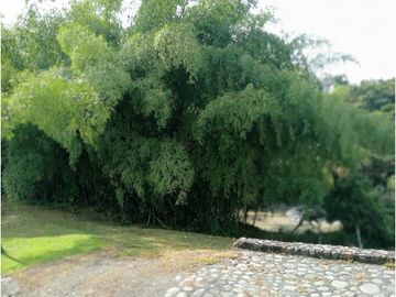 place photo 62