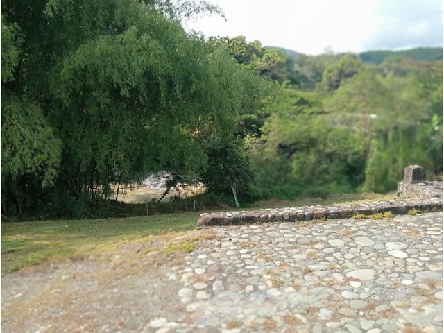 place photo 61