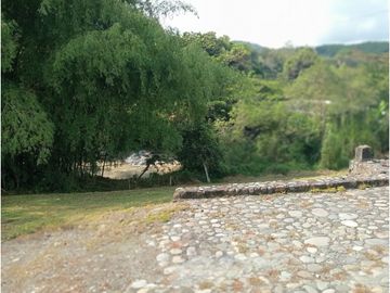place photo 61