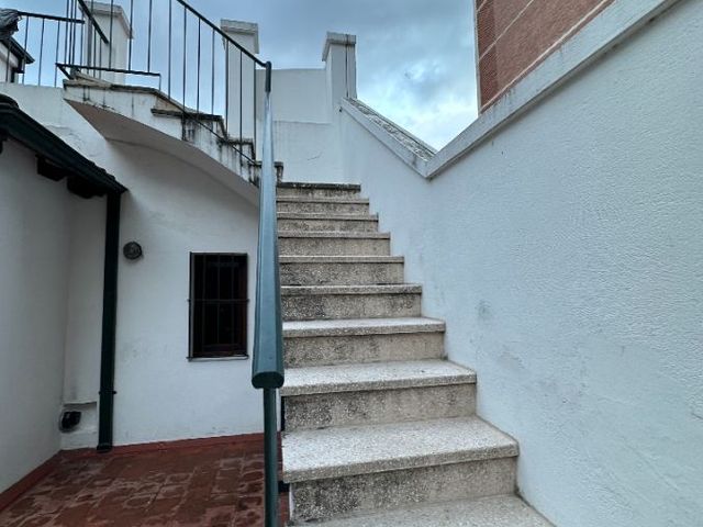 place photo 43
