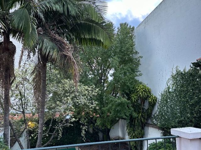 place photo 46