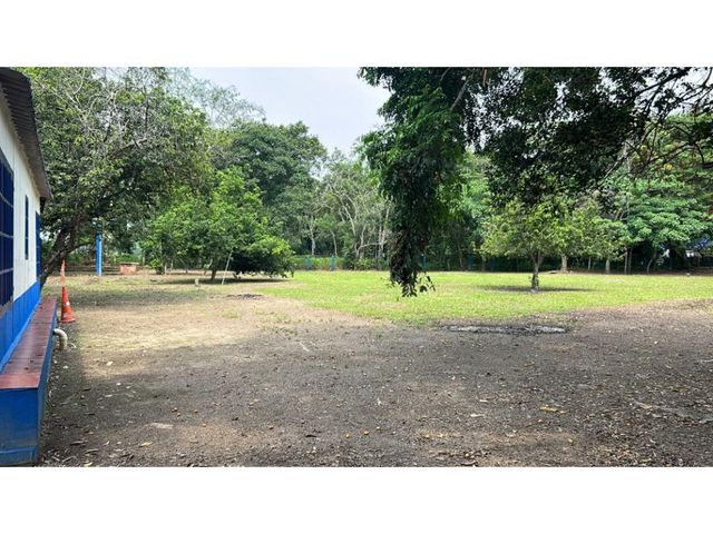 place photo 23