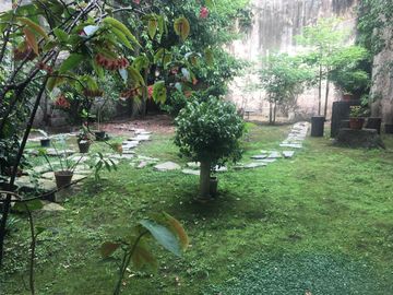 place photo 14