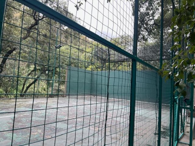 place photo 16