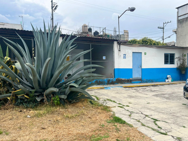 place photo 18