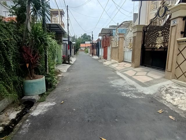 place photo 15