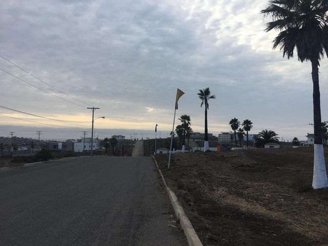 place photo 14