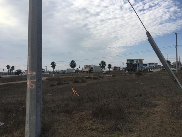 place photo 20