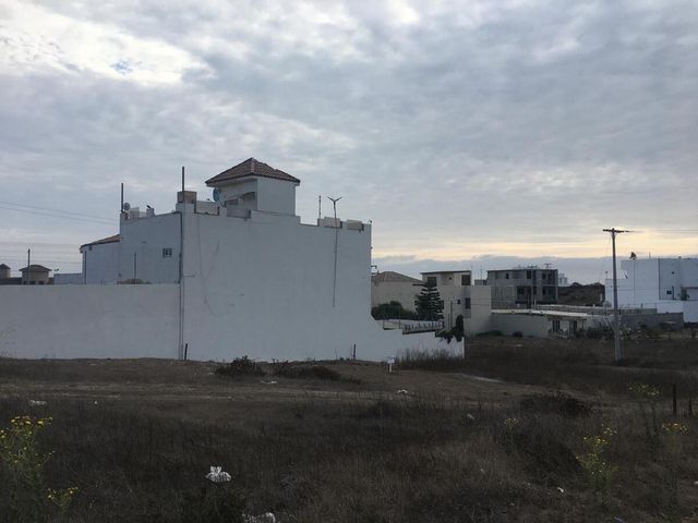 place photo 21