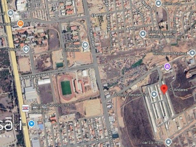 place photo 17