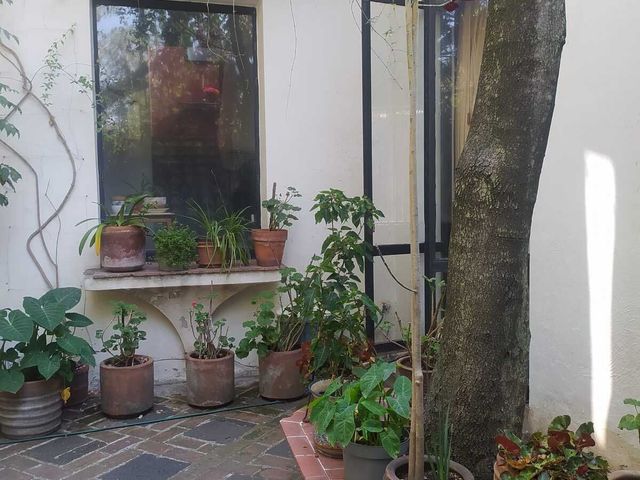 place photo 41