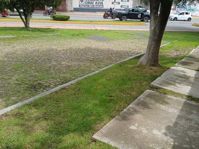 place photo 23