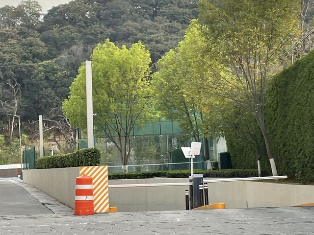 place photo 34