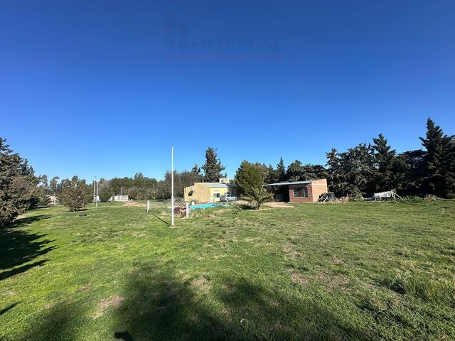 place photo 11