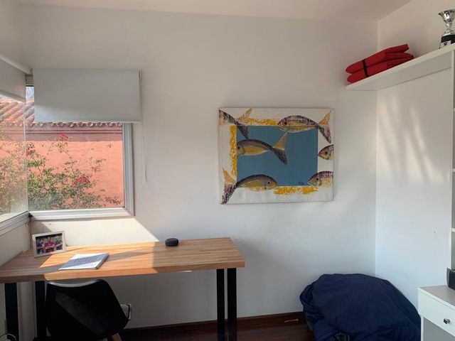 place photo 50