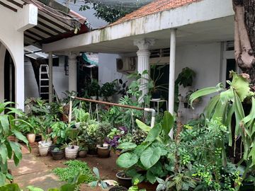 place photo 18