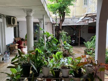 place photo 19