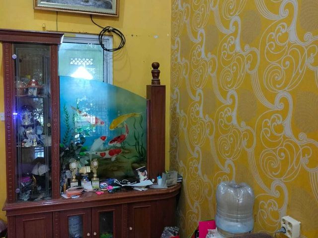 place photo 17