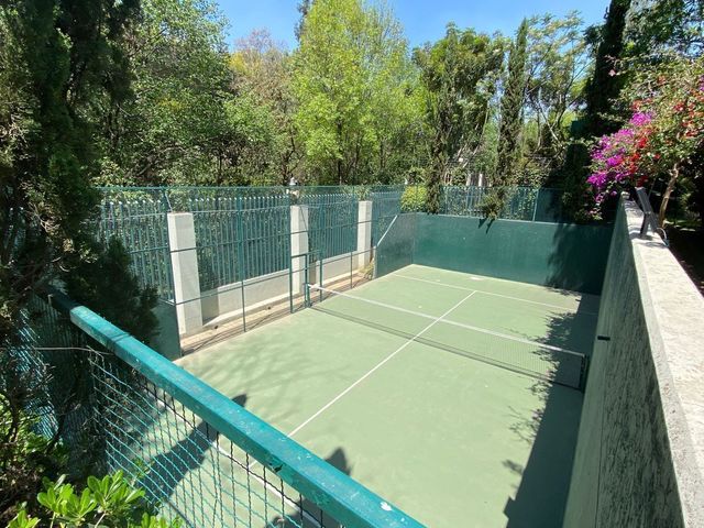 place photo 31