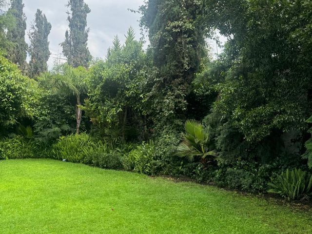 place photo 40