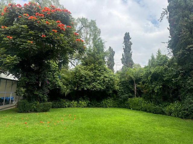place photo 37