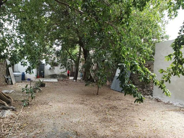 place photo 13