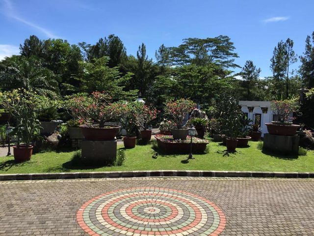 place photo 15